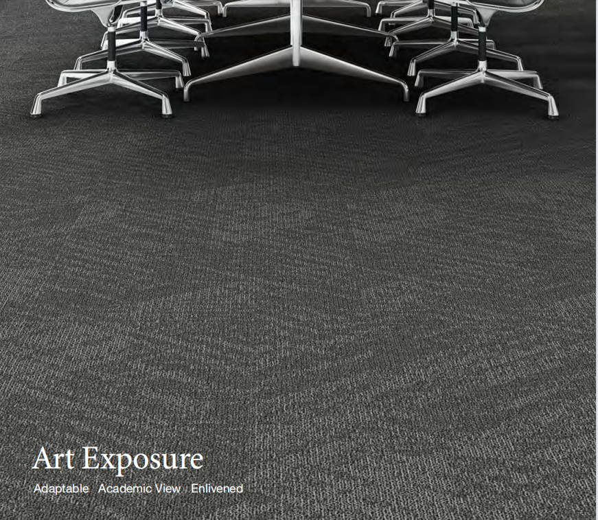 Art Exposure (Adaptalbe + Acedemic View + Enlivened)