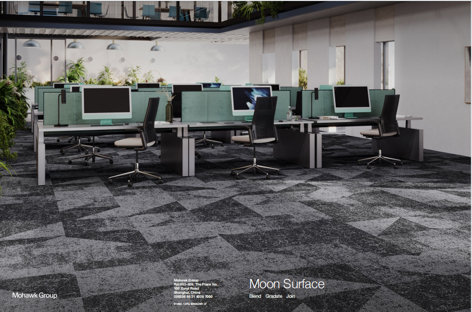 Moon Surface