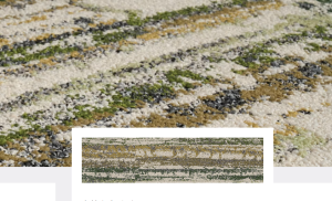 Shifting Seasons-interface carpet tiles