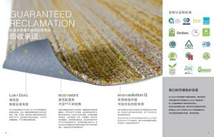 Shaw Contract Office Carpet Tiles — Premium Commercial Carpet Tile by Shaw Industries (Berkshire Hathaway)
