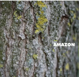 RSG AMAZON 15500 Series: Where Summer’s Sparkle Meets Commercial-Grade Performance